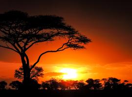 Nairobi to Zanzibar: Serengeti & Sunsets - 10 Days