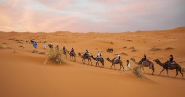 Moroccan Desert Adventure: River Canyons & Camels - 7 Days