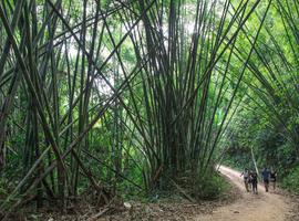 Laos to Northern Thailand: Treks & Trails - 14 Days