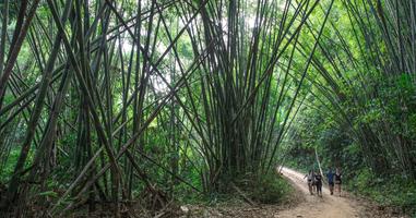 Laos to Northern Thailand: Treks & Trails - 14 Days