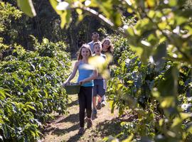 Costa Rica Family Journey: From Rainforest to Coast - 9 Days