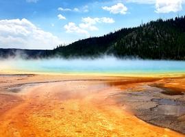 National Parks Family Journey: Yellowstone and Grand Teton - 8 Days