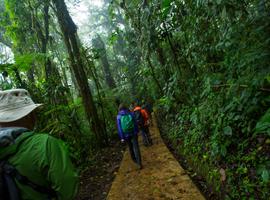 Costa Rica: Monteverde and La Fortuna - 7 Days