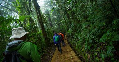 Costa Rica: Monteverde and La Fortuna - 7 Days