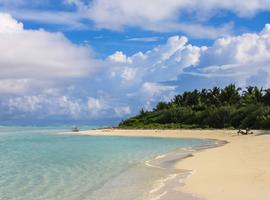 Sri Lanka with Maldives Cruise: Spice Gardens & Seasides - 18 Days