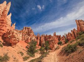 USA Road Trip: Big Cities & West Coast Parks - 15 Days