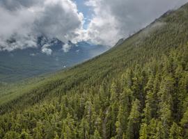 Active West Coast & Canadian Rockies - 16 Days