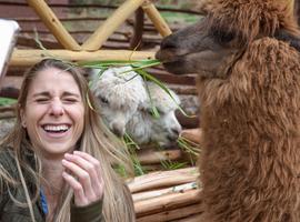 Inca Adventure: Cusco, Machu Picchu & the Best Views Ever - 7 Days