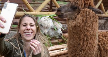 Inca Adventure: Cusco, Machu Picchu & the Best Views Ever - 7 Days