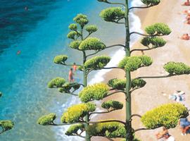 The Dalmatian Coast: Croatia, Corfu & Medieval Cities - 14 Days