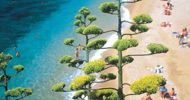 The Dalmatian Coast: Croatia, Corfu & Medieval Cities - 14 Days