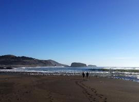USA Road Trip- The Best of Cali - 9 Days