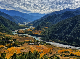 Camp the Trans Bhutan Trail - 11 Days