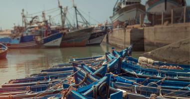 Morocco: Marrakech and the Coast - 8 Days