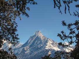 Highlights of Nepal - 8 Days