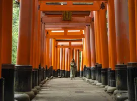 Japan: Kyoto, Tokyo & the Michinoku Coastal Trail - 11 Days