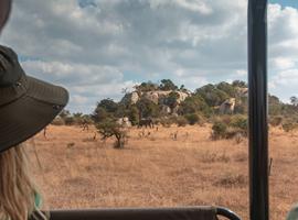 Southern Africa: National Parks of Zimbabwe & Kruger Wildlife Tracking - 20 Days