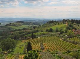 Italy: Tuscany and Umbria Vineyard Walks - 8 Days