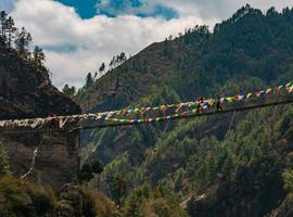 Nepal: Annapurna Hiking, Rafting and Chitwan National Park - 12 Days