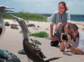 The Galápagos: Wildlife of Santa Cruz & Isabela Islands - 8 Days
