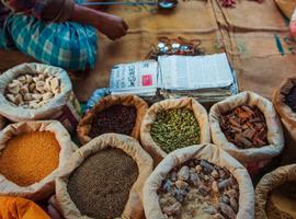 Northern India: Riverside Safaris, Ancient Fortresses & The Taj Mahal - 15 Days