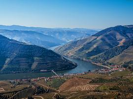 Portugal: Coastal Walks, Vineyards & Villages of the Douro Valley - 10 Days