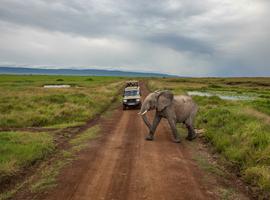 Kenya to Zimbabwe Overland Safari & Participation Camping - 20 Days