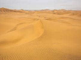 Namibia to Cape Town Overland Safari & Participation Camping - 14 Days