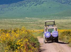 Serengeti to Zanzibar Overland Safari & Participation Camping - 9 Days