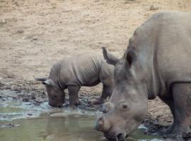 Southern Africa Overland Safari & Participation Camping - 15 Days