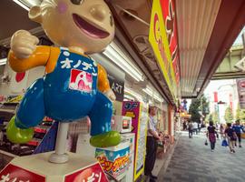 Seoul to Osaka: Beaches & Big Cities - 20 Days