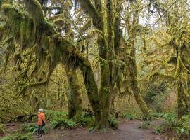 Discover the Pacific Northwest - 7 Days