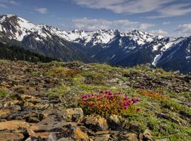 Best of Northern Rockies & the Pacific Northwest - 14 Days