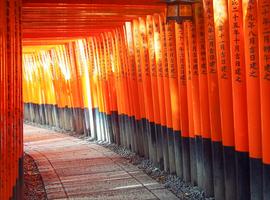 Active Japan: Kyoto to Tokyo Island Hopping - 12 Days