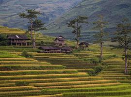 Classic Vietnam: Sapa to Ho Chi Minh - 14 Days