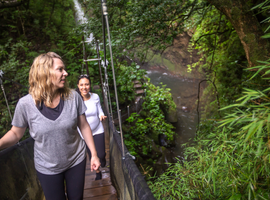 Costa Rica: The Wonders & Wildlife of the North - 6 Days