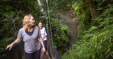 Costa Rica: The Wonders & Wildlife of the North - 6 Days