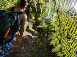 Australia And New Zealand: Bushwalks & Beaches - 24 Days