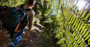 Australia And New Zealand: Bushwalks & Beaches - 24 Days