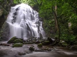 Costa Rica: Rio Celeste & Rincon de la Vieja - 6 Days
