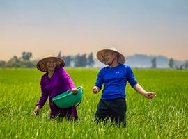 Solo-ish Vietnam - 11 Days