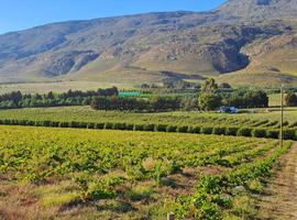 South Africa: The Garden Route - 9 Days