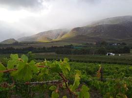 South Africa: Cape Town & The Garden Route - 11 Days