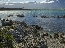 Solo-ish New Zealand - 14 Days