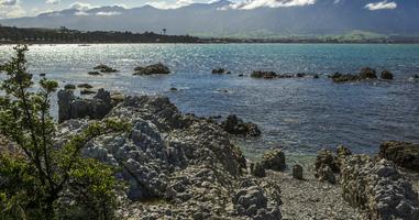 Solo-ish New Zealand - 14 Days