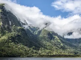 Solo-ish New Zealand - 14 Days