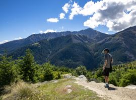 Solo-ish New Zealand - 14 Days