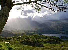 Ireland: Coastal Hikes, The Beara Peninsula & Killarney National Park - 10 Days