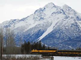 Alaska in Winter: Northern Lights & Dog Sledding Adventure - 8 Days