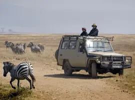 Tanzania Uncovered: Wildlife of the Serengeti & Ngorongoro Crater - 6 Days